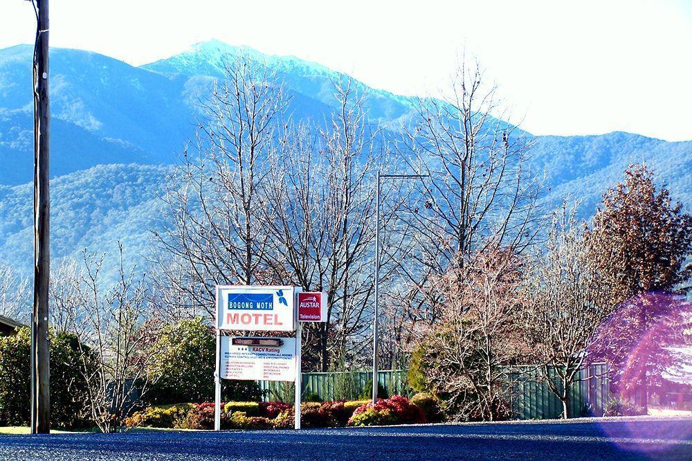 Bogong Moth Motel Mount Beauty Esterno foto