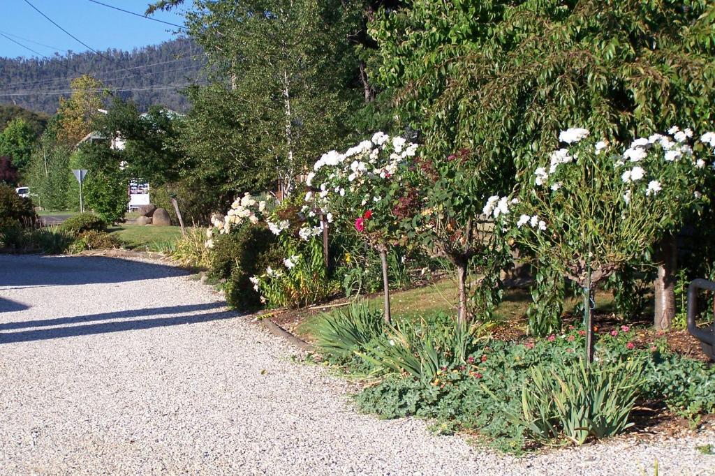 Bogong Moth Motel Mount Beauty Esterno foto