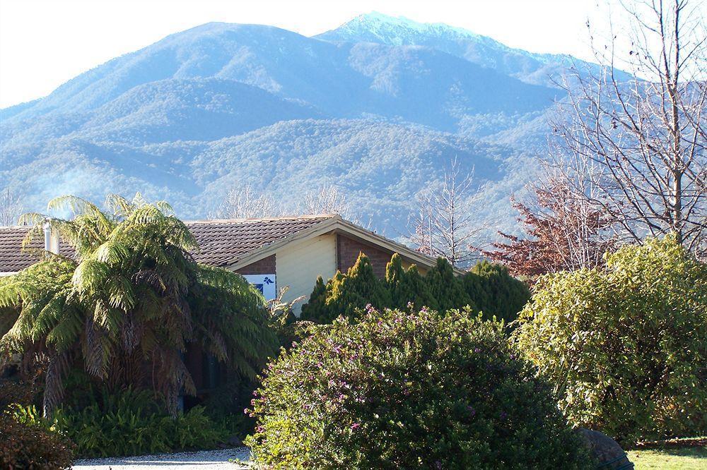 Bogong Moth Motel Mount Beauty Esterno foto